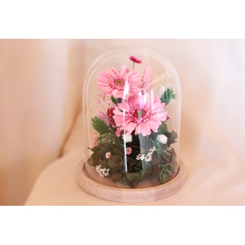 Petite cloche gerbera